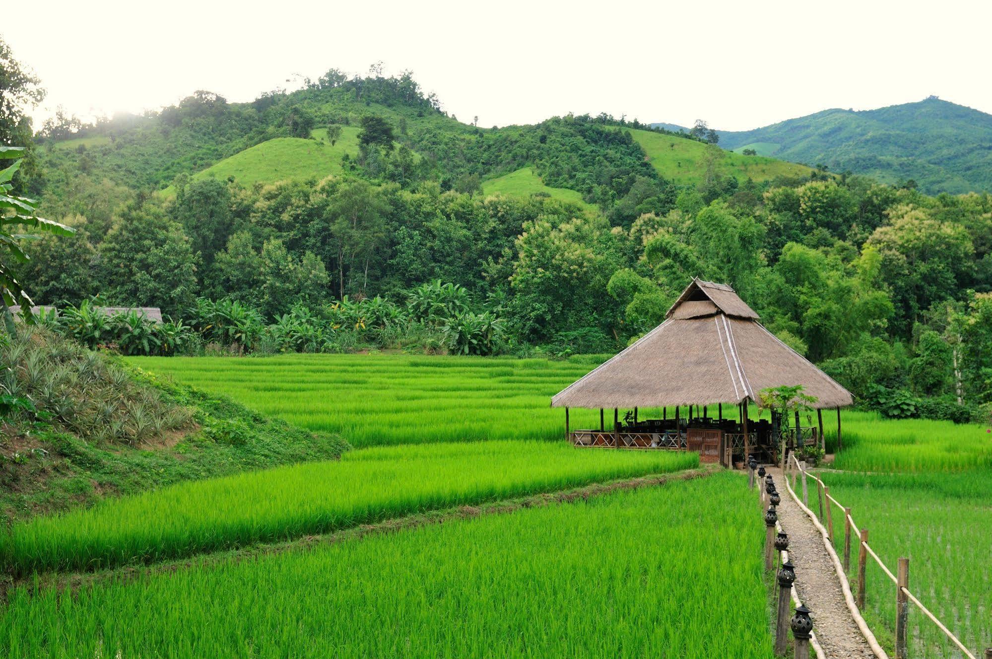 Kamu Lodge Pak Ou エクステリア 写真